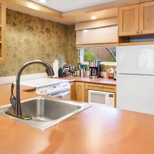 Lotus Suite, 1 Bedroom, Sleeps 4, Pool & Bbq, Pre-Renovation Summer Sale Kihei